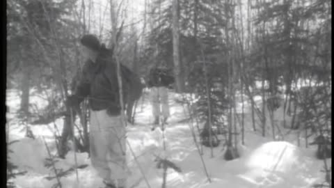 COMBAT IN DEEP SNOW AND EXTREME COLD - COMBAT IN DEEP SNOW AND EXTREME COLD - gov.dod.dimoc.29648