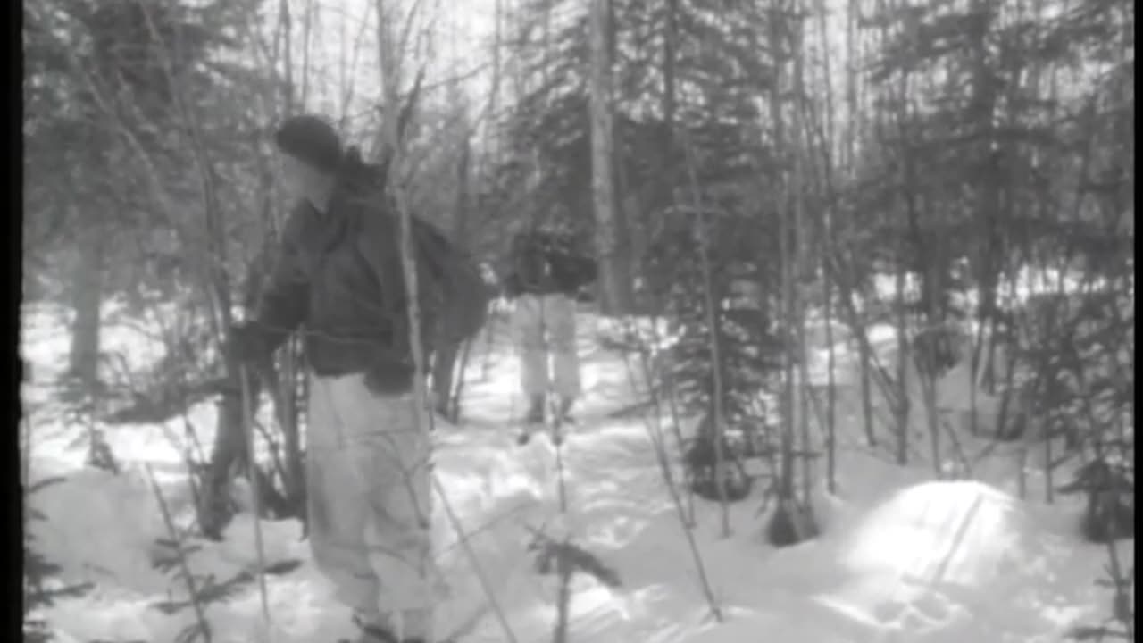 COMBAT IN DEEP SNOW AND EXTREME COLD - COMBAT IN DEEP SNOW AND EXTREME COLD - gov.dod.dimoc.29648