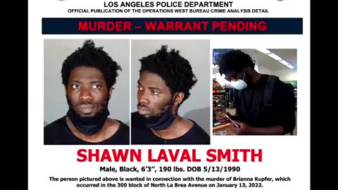 Black Crime: Why Our Rulers Hide It