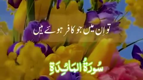 Beshak 💯♥️✨🕊️