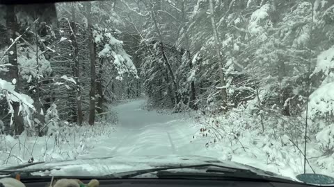 Forest road covered in snow.