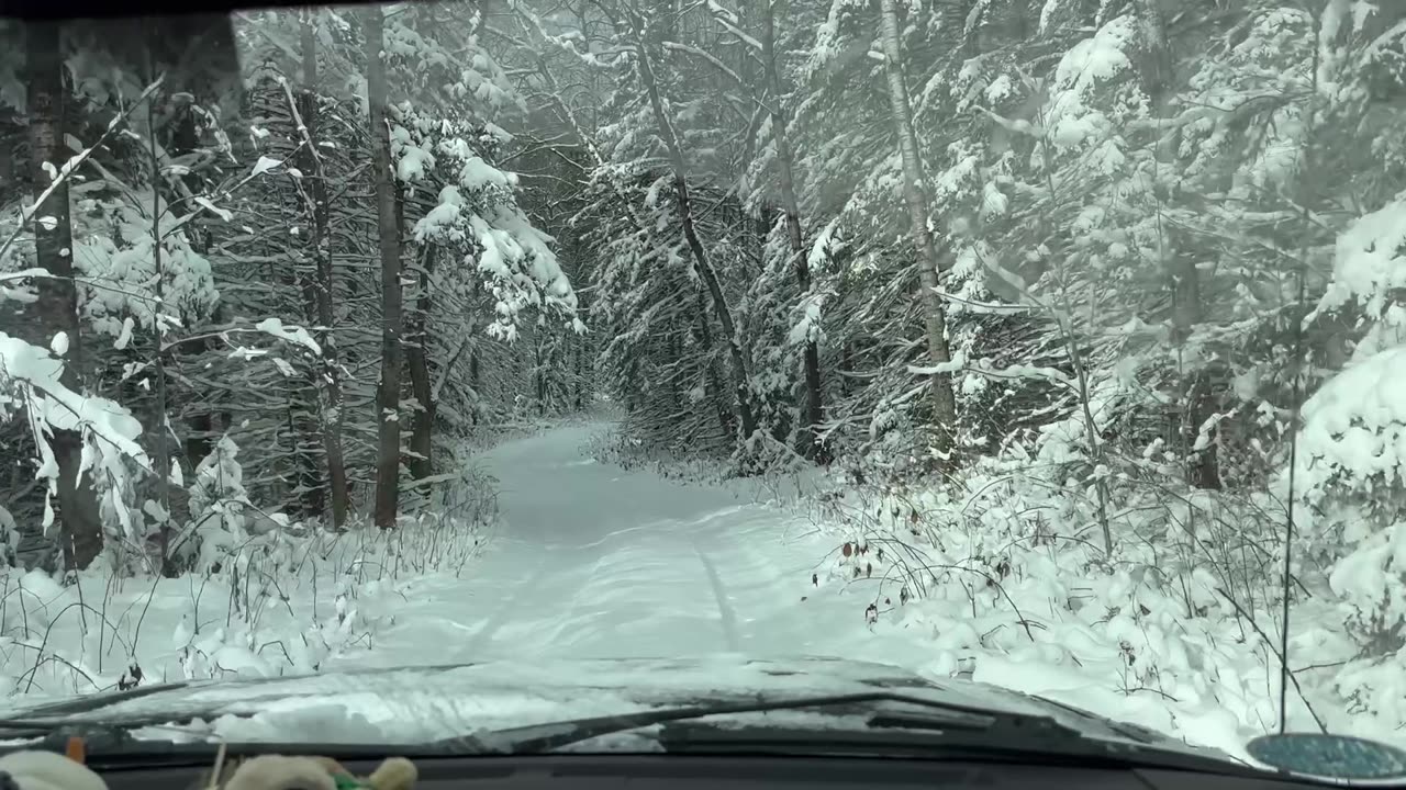 Forest road covered in snow.