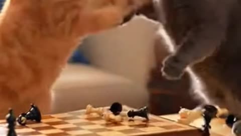 Grandmaster Meow The Queen's Gambit 🐱♟️