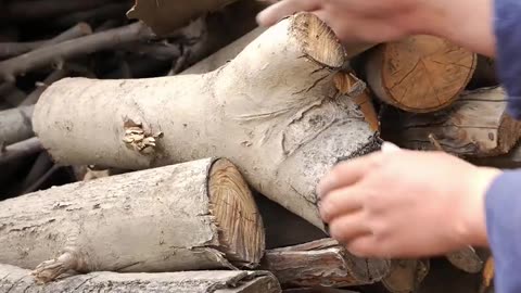 千年技艺澄泥砚为“四大名砚”唯一非石质砚台，以汾河澄泥为原料制作而成