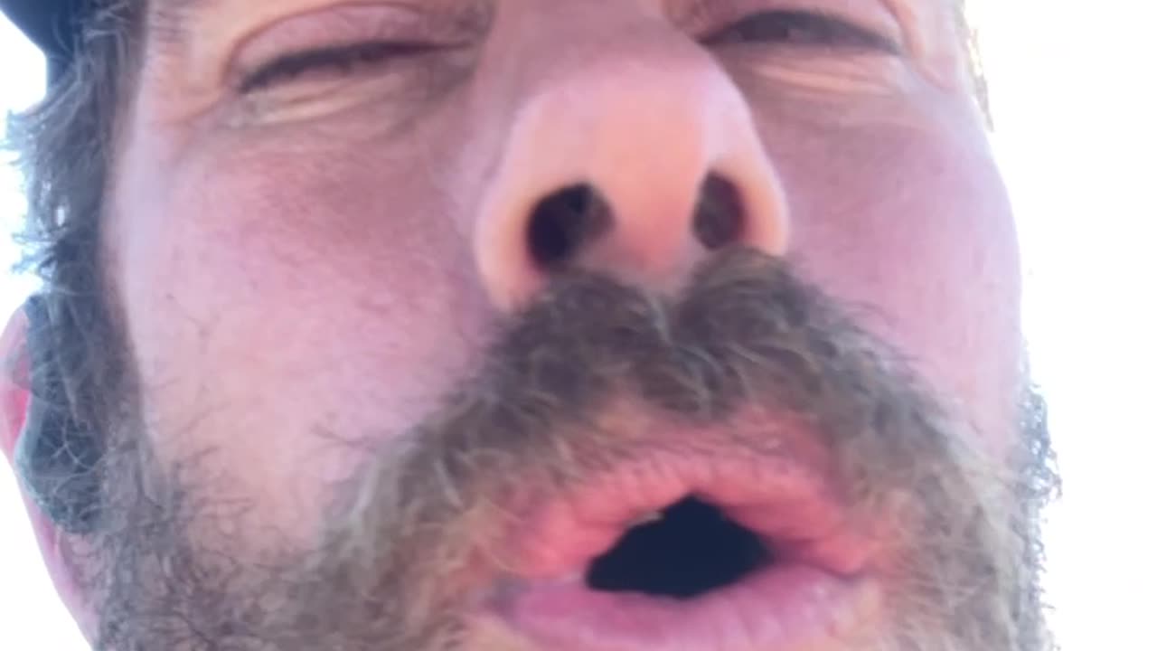 Shake my head a whole penny