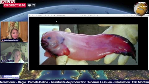 Abysses : les dernières frontières de la planète. Avec Catherine Vadon, océanographe.