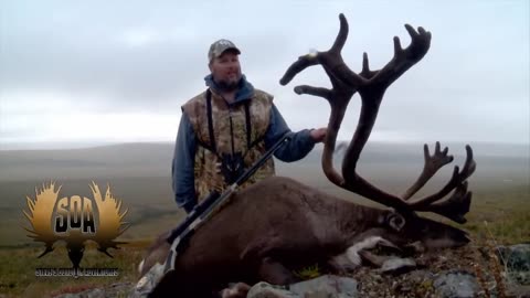 Caribou Hunting with the CVA Accura MR Nitride - Steves Outdoor Adventures