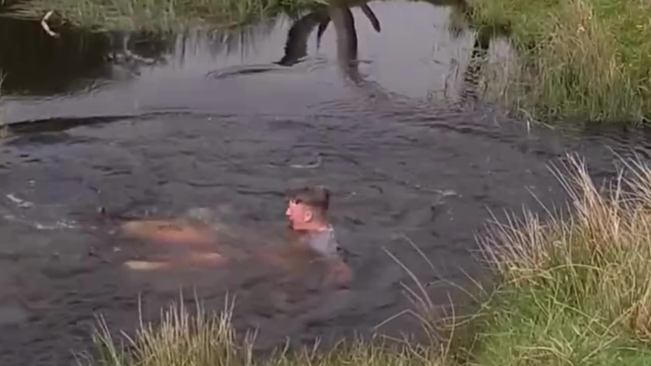 If you laugh you restart 😂😂🤣 #viral #shorts #fails #funny #fail