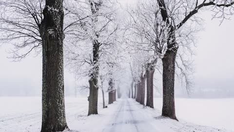 God's Touch - Juvenile Gout (Jeff Osburn)