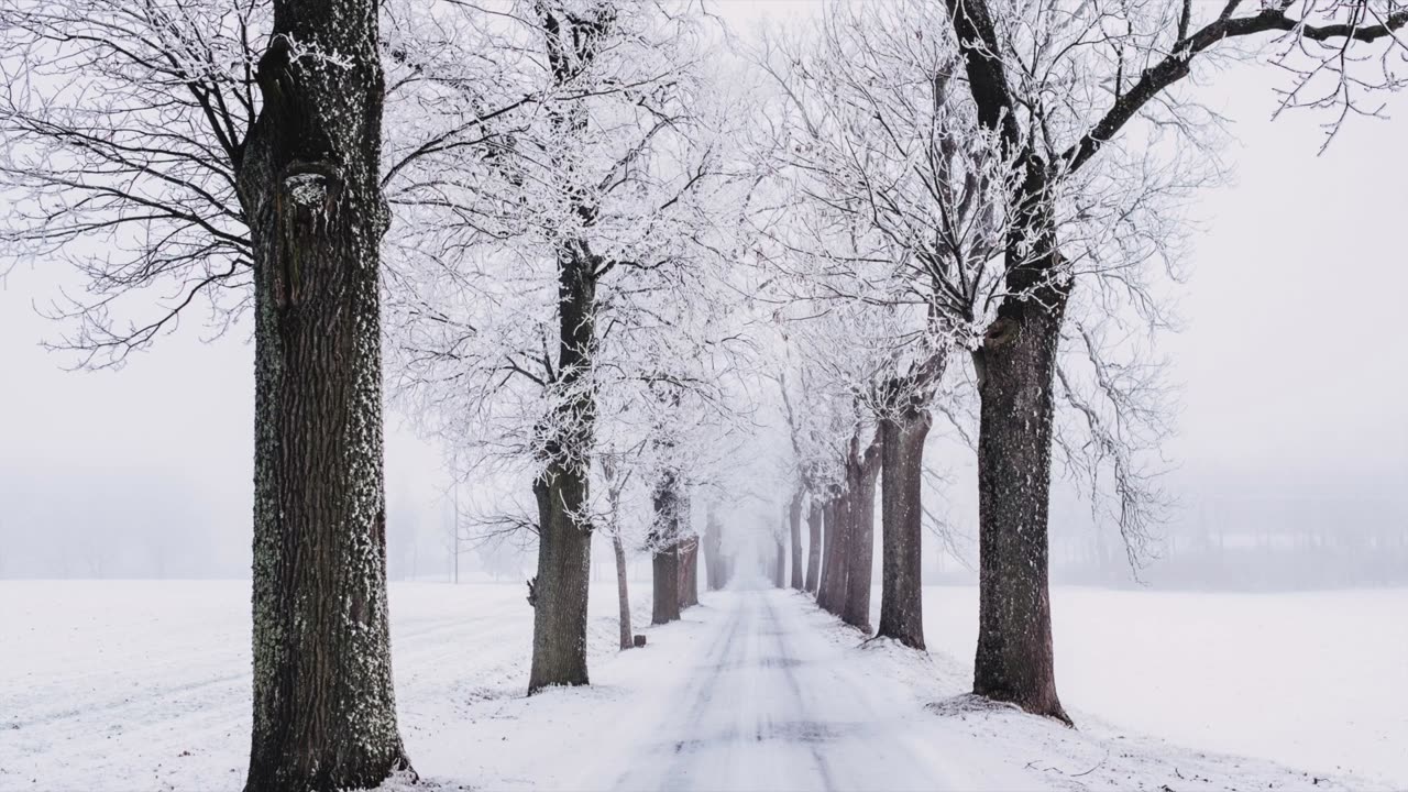 God's Touch - Juvenile Gout (Jeff Osburn)