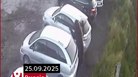 Russia: Black Bear Attacks in Parking Lot, Elderly Woman Killed, Boy Narrowly Escapes