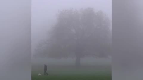 This Disturbing Fog Happening Worldwide Is Scary!!!!!