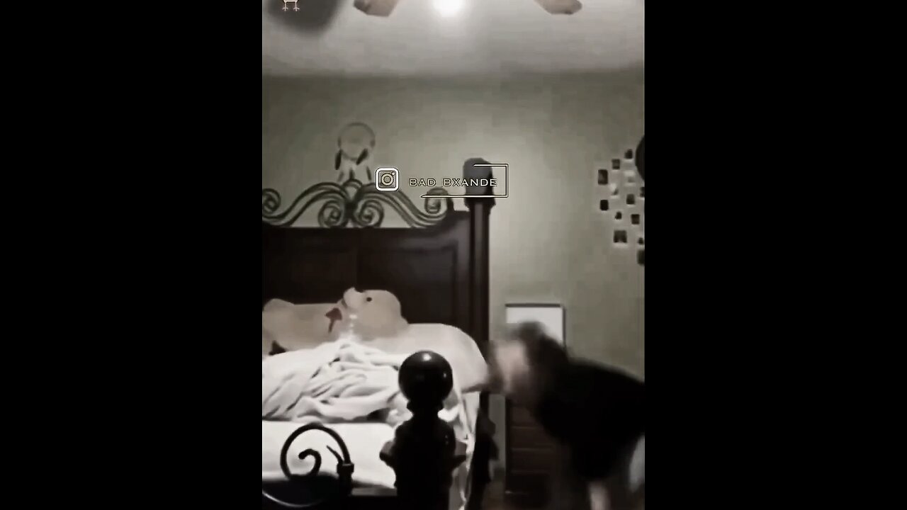 Funny clip 😂😂 Follow for Follow #Viral #Funny # crazy #dance #Trump #media #America #geo #beauty