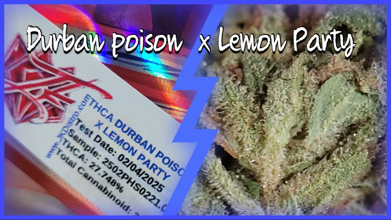 Durban Poison x Lemon Party