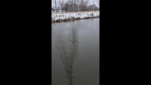 Water Rising on Salt Creek, New Year's Eve 2025
