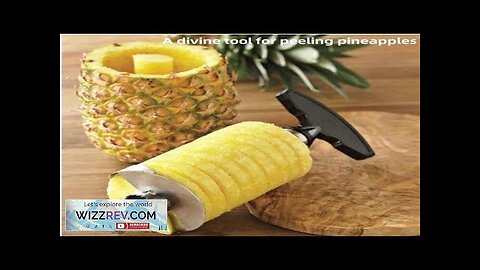 1pcs Pineapple Slicer Peeler Peeler Stainless Steel Fruit Tools Cooking Tools Kitchen Review