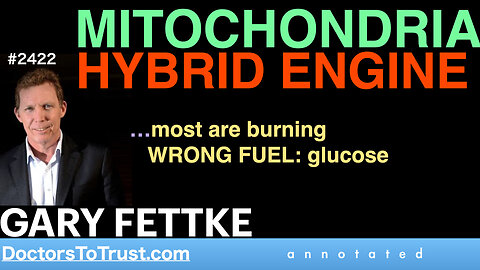 GARY FETTKE t2 | MITOCHONDRIA HYBRID ENGINE …most are burning WRONG FUEL: glucose