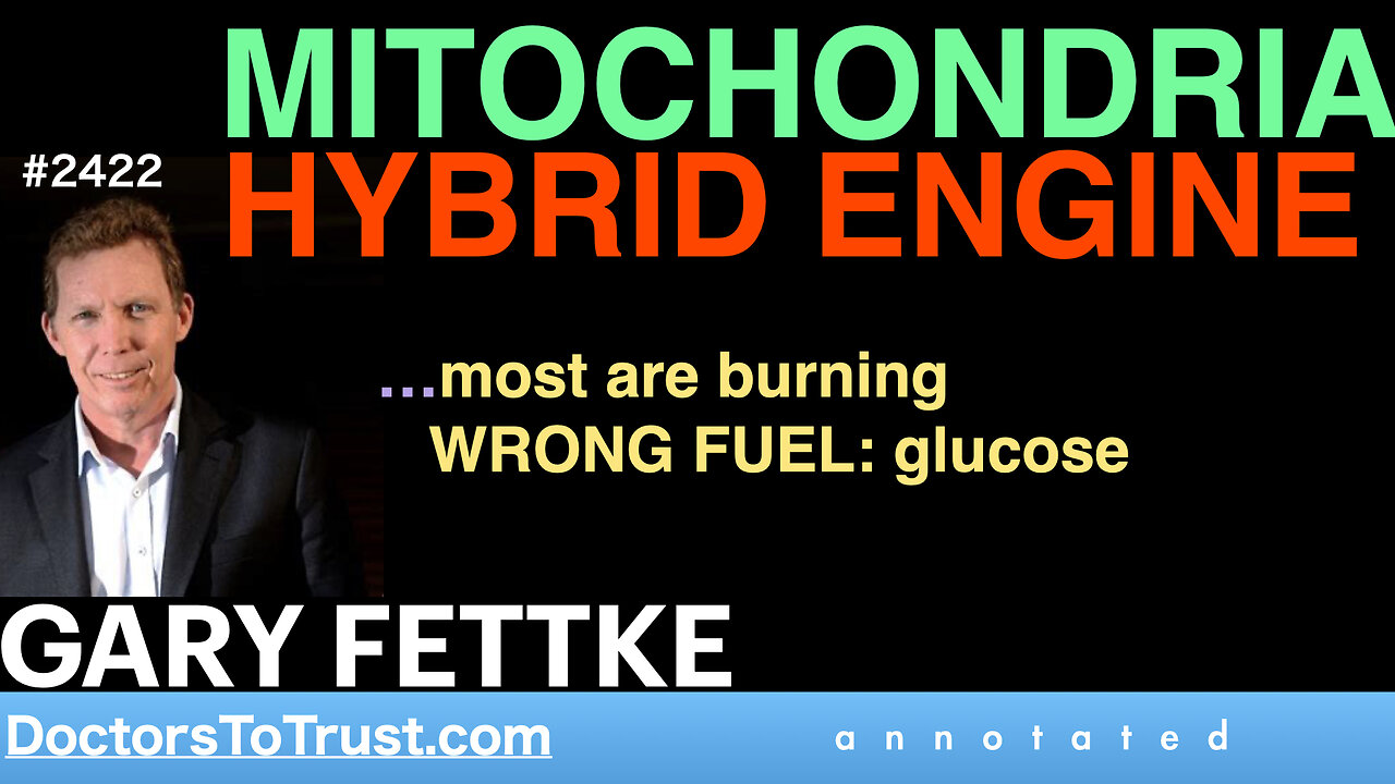 GARY FETTKE t2 | MITOCHONDRIA HYBRID ENGINE …most are burning WRONG FUEL: glucose