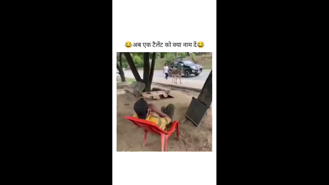 गधा
