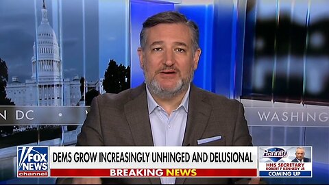 Sen Ted Cruz: Democrats Are Delusional