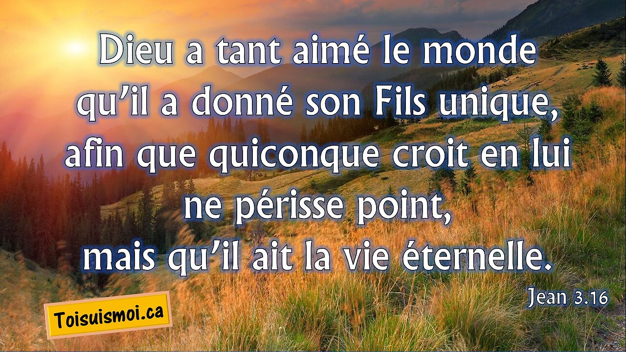 Témoignage de Julie Markov