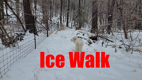 Ice Walk