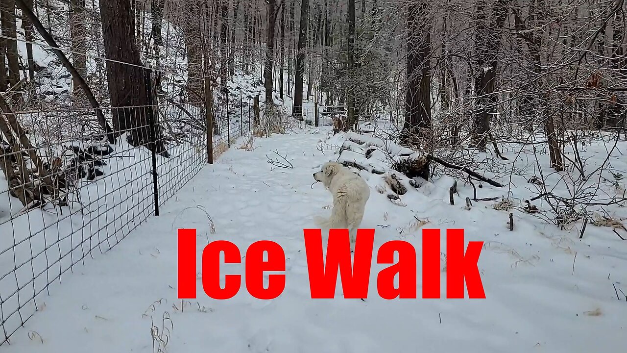 Ice Walk