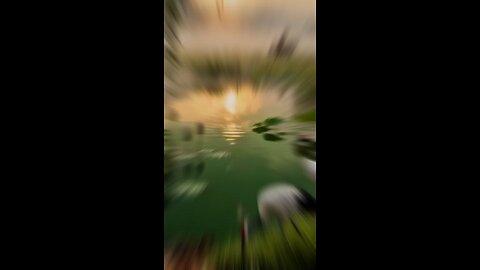 #short #shorts #shortvideo #shortsfeed #shortsviral #foryou #fyp #foryoupageofficiall #viralvideo