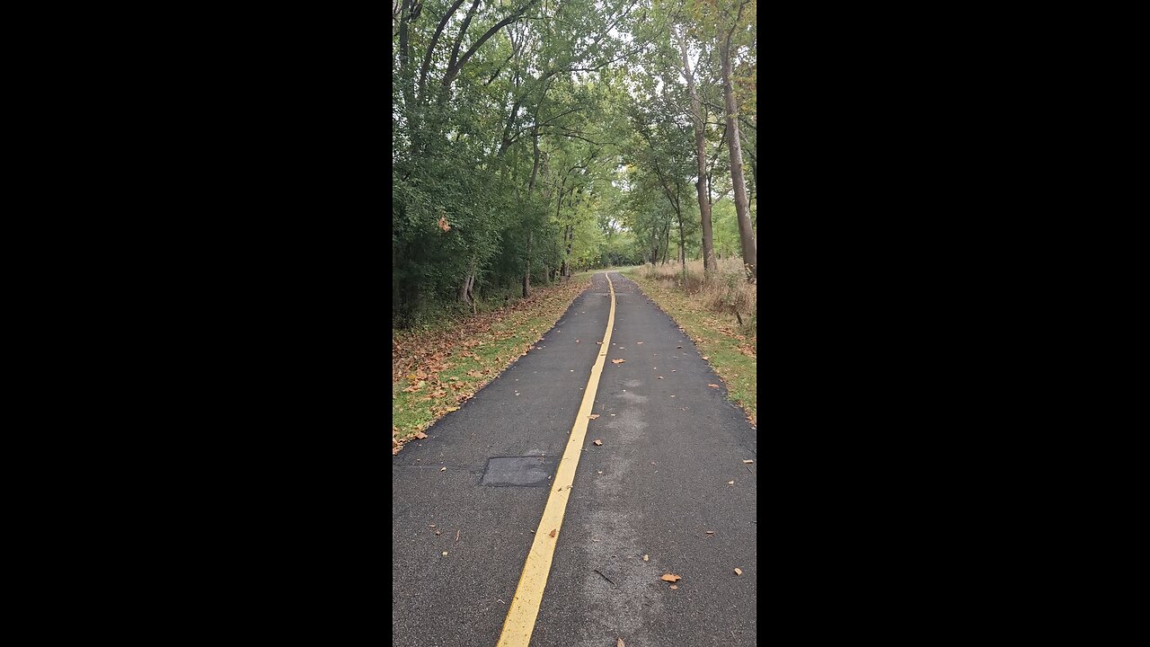 A Short Deer Video