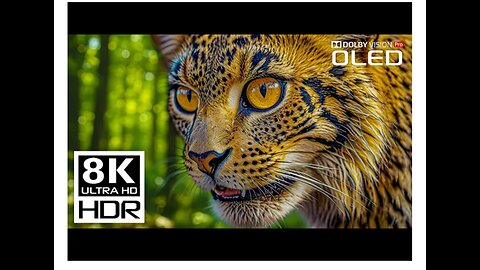 UNBELIEVABLE 8K Videos | Dolby Vision 8K HDR 120fps