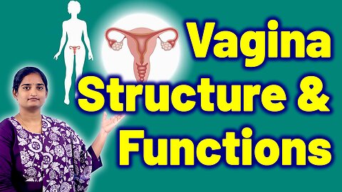 Female Reproductive System Structure & Function Internal and External Genitalia Treatment Homeopathy