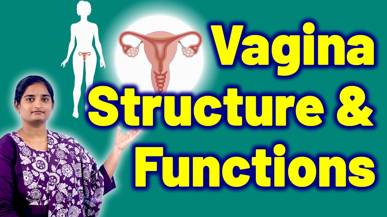 Female Reproductive System Structure & Function Internal and External Genitalia Treatment Homeopathy