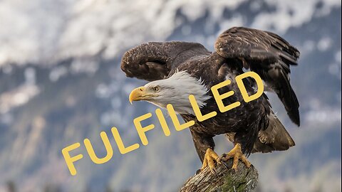 Fulfillment The Eagle has landed