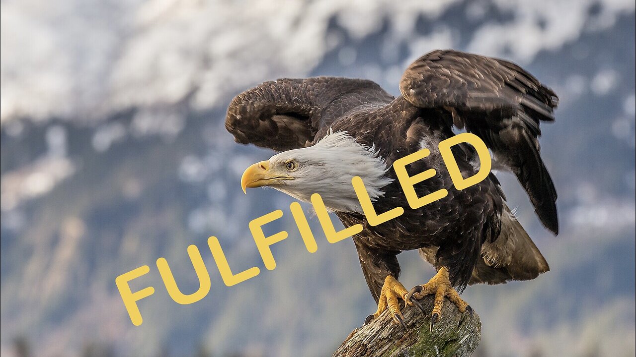 Fulfillment The Eagle has landed