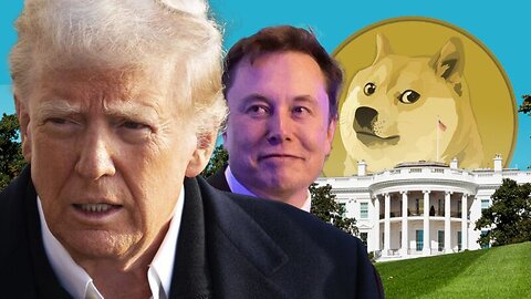 DOGE FINDINGS ARE BRINGING OUT THE RINOS?!