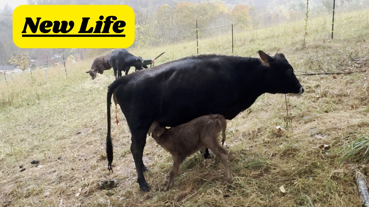 Aine's Random Act of Kindness 😍🙏