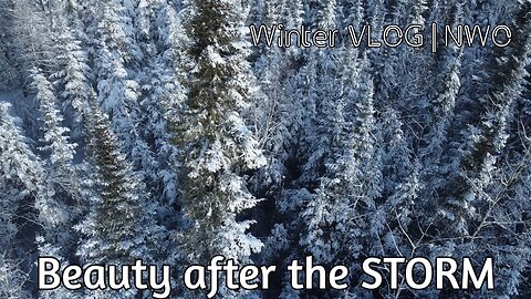 Beauty after the STORM | Winter vlog in NWO