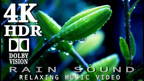 Beautiful Rain And Relaxing Music Video ~ Natural Sound