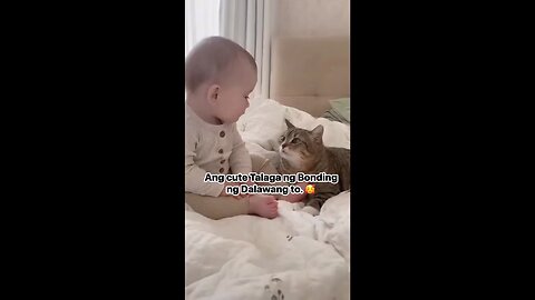 Cute Baby Playing with Cat 🍼🐾 | Funny Baby & Cat Moments 2025