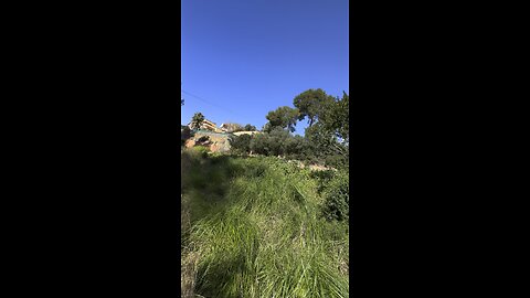 La Sentiu - Gavá - Spain