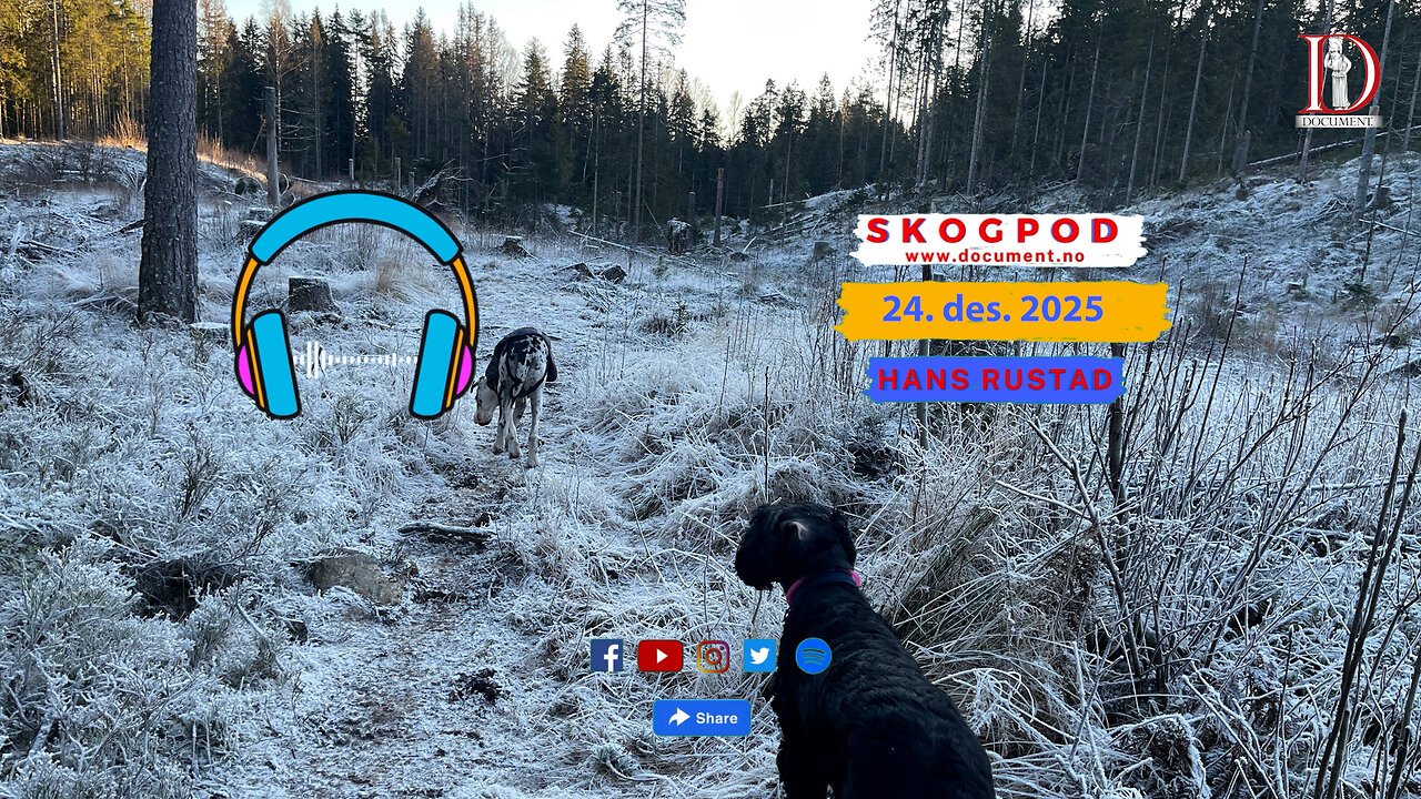 Skogpod 24. desember 2025