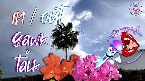 December Patio Tour Emphasis on Orchids In The Cold & Why #ninjaorchids