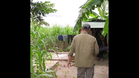 The precarious life of the uncle next to the cowshed