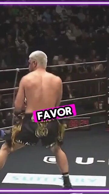 MMA Fighter Breaks Rules Punches Ref