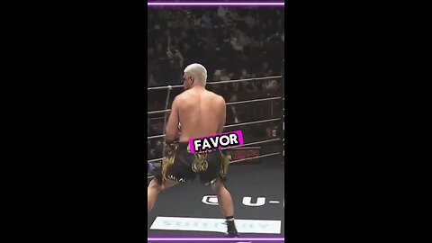 MMA Fighter Breaks Rules Punches Ref