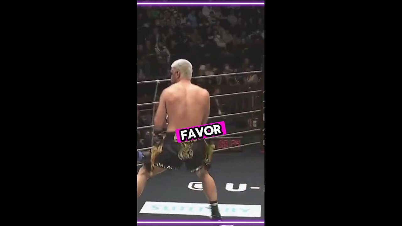 MMA Fighter Breaks Rules Punches Ref