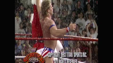 Survivor Series 1993