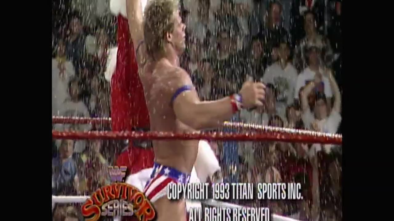 Survivor Series 1993