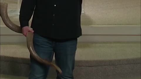 Recognizing the Relevance of When Jesus Passes By Prepare for a Miracle