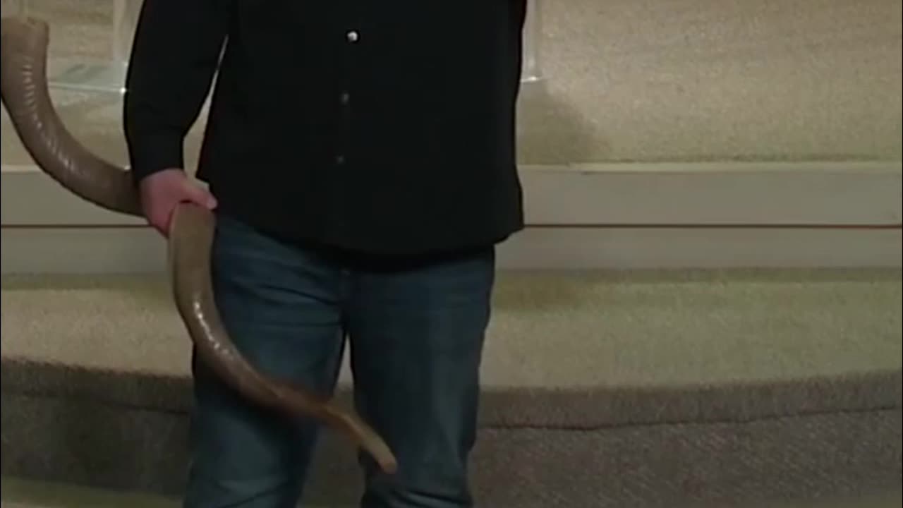 Recognizing the Relevance of When Jesus Passes By Prepare for a Miracle